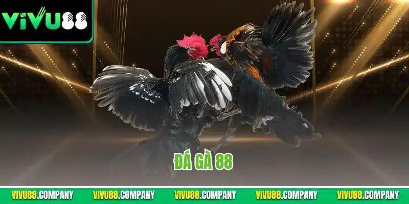 đá gà 88