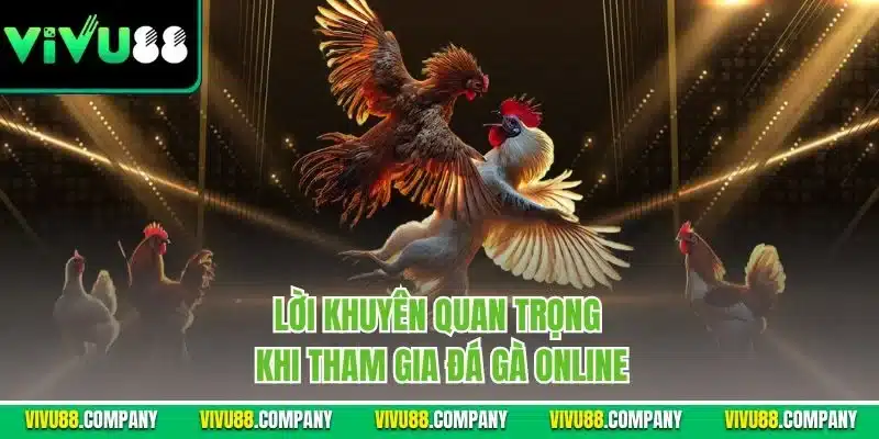 Lời khuyên quan trọng khi tham gia đá gà online